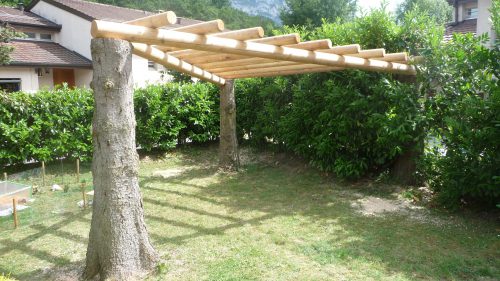 Construction d'une pergolas en mélèze sur des anciens arbres